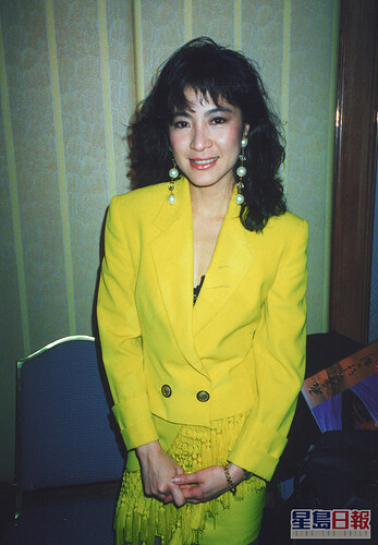 楊紫瓊1985年來港拍廣告後，開始踏足香港影壇，成為打女。