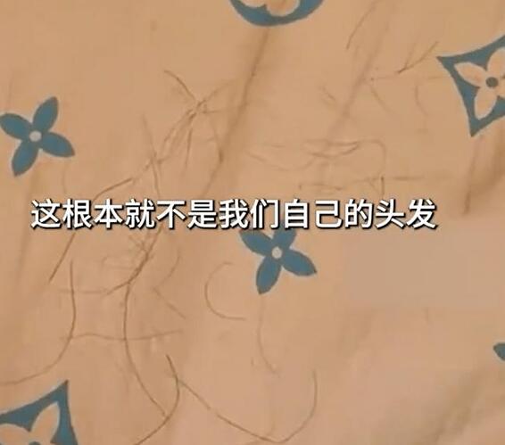 90岁母亲成赚钱工具?一顿早餐拆穿杨子的