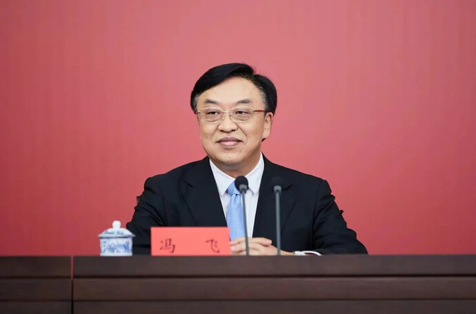 新任海南書記馮飛。