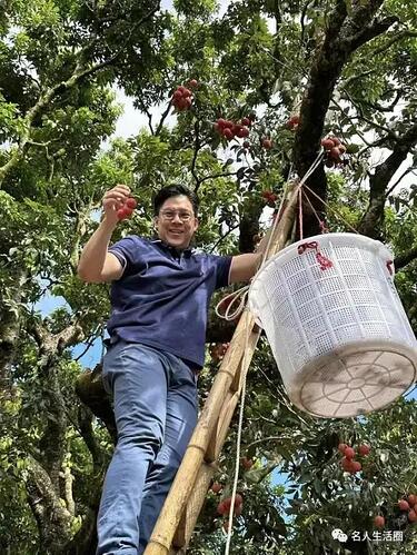 霍启刚内地农村爬树摘荔枝，吕良伟富婆前妻同行