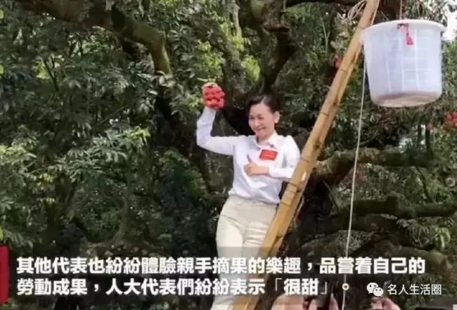 霍启刚内地农村爬树摘荔枝，吕良伟富婆前妻同行