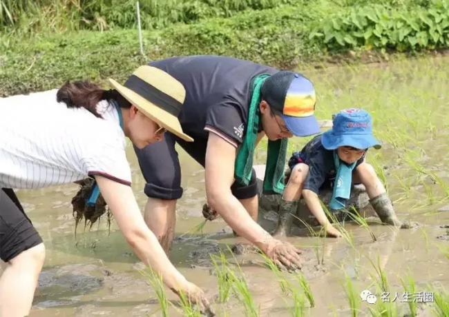 霍启刚内地农村爬树摘荔枝，吕良伟富婆前妻同行